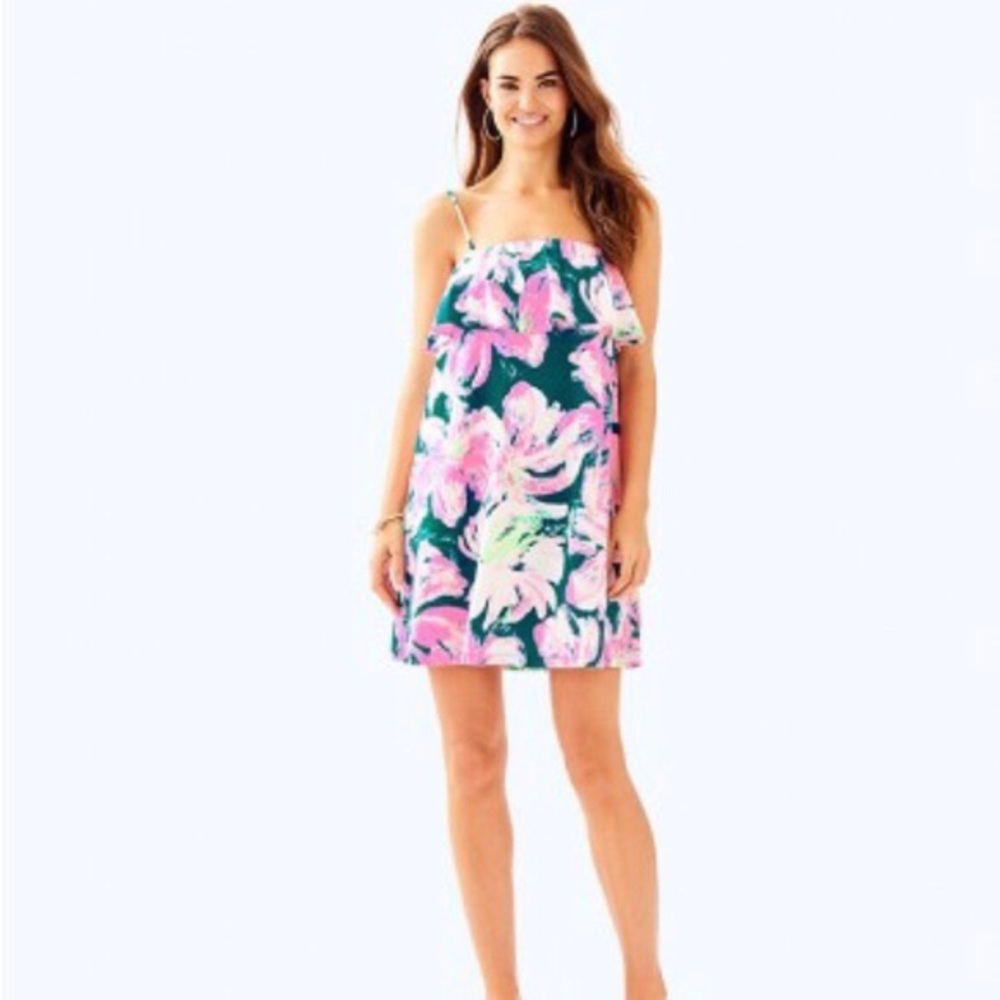 🎉SALE Lilly Pulitzer Annashtasha Dress S 🎉